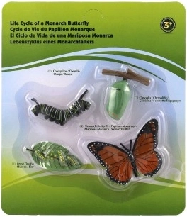 Εκπαιδευτική αξία