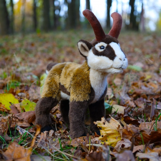 Eco-friendly υλικά