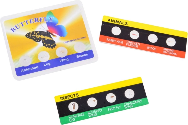 Κάρτες μάθησης