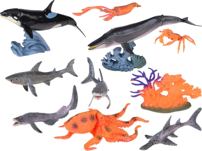 Πλούσια ποικιλία μορφών