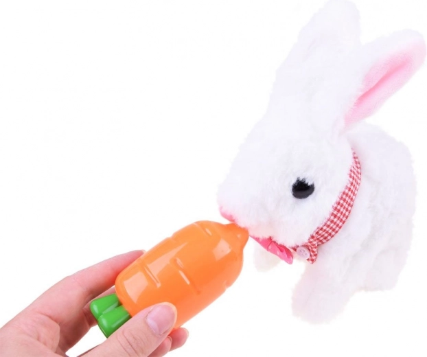 Διασκεδαστικό τάισμα και εκμάθηση υπευθυνότητας