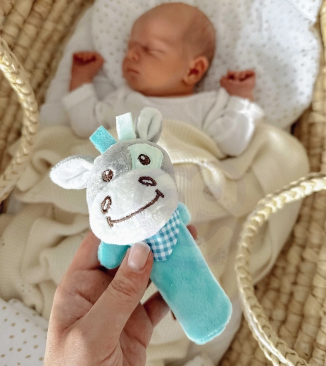 Ηχητικά και απτικά στοιχεία