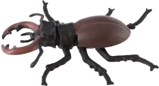 Εκπαιδευτική χρήση