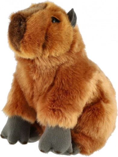 Ρεαλιστική εμφάνιση που ενθουσιάζει