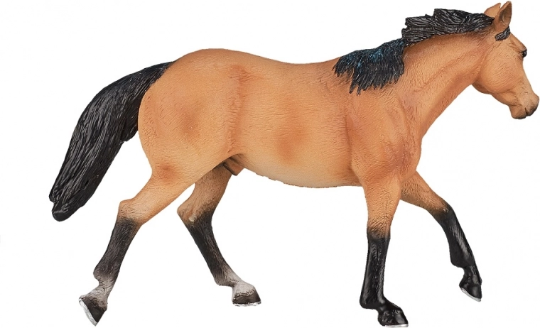 Πιστή απόδοση της φυλής QUARTER HORSE
