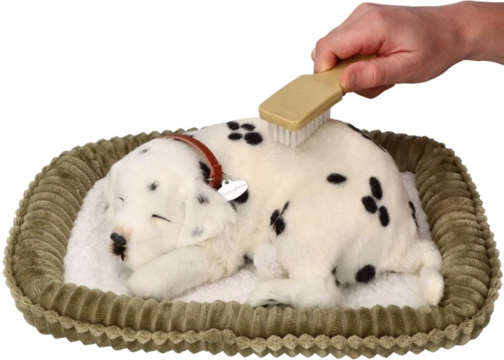 Βουρτσάκι για απαλή φροντίδα