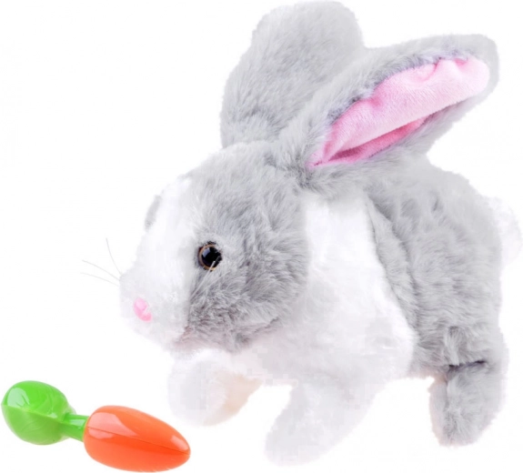 Μασουλά το καροτάκι