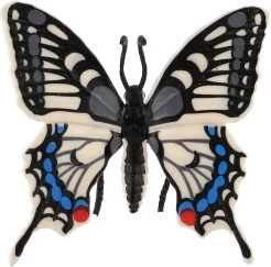 Πιστός χρωματισμός και σχέδιο φτερών