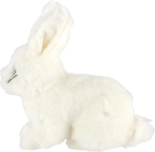 Ελαφρύ και ιδανικό για τα ταξίδια