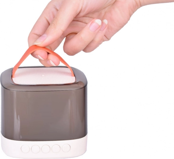 Φορητό και ασύρματο