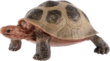 Ρεαλιστικές λεπτομέρειες