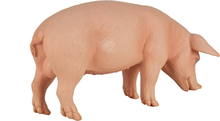 Κατάλληλο για συλλέκτες