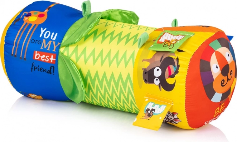 Αισθητηριακή διέγερση και τα πρώτα ανακαλύμματα