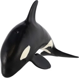 Ιδανικό για εκπαίδευση