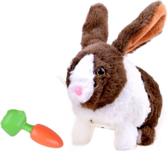 Διασκεδαστικό τάισμα με καρότο