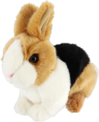 Ρεαλιστικές λεπτομέρειες και χρωματισμός