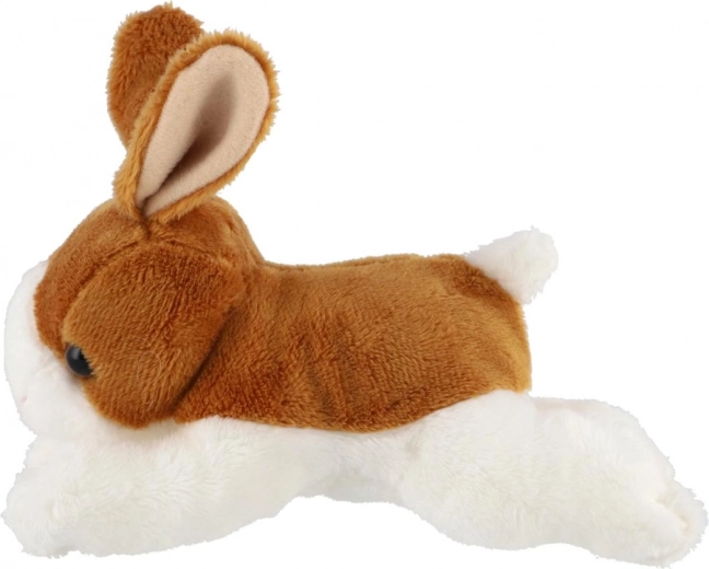 Συμπαγές και εύκολο στο κράτημα