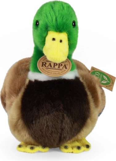 Ρεαλιστική εμφάνιση