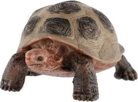 Εκπαιδευτική και διακοσμητική χρήση