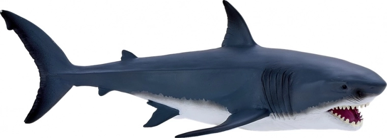 Πειστικές λεπτομέρειες και ρεαλιστικός χρωματισμός