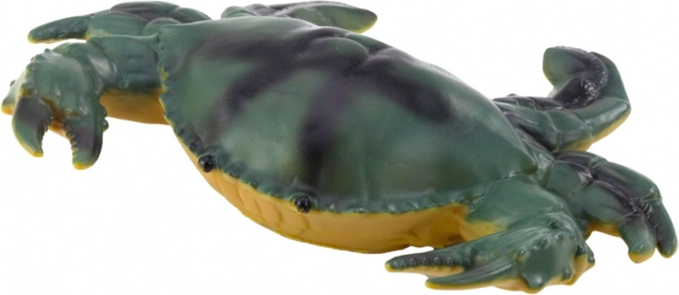 Ρεαλιστικά χρώματα και διάφορα είδη θαλάσσιων ζώων