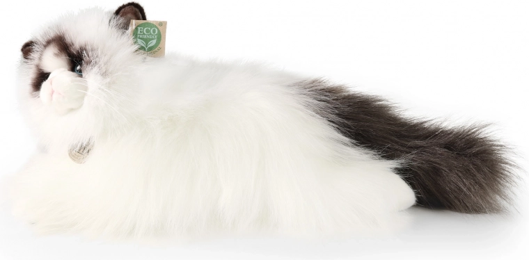 Ρεαλιστικός σχεδιασμός