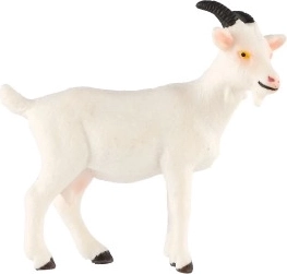 Ανθεκτικό Υλικό