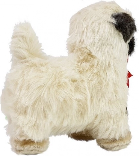 Περπατά μπροστά με χαρούμενη μελωδία