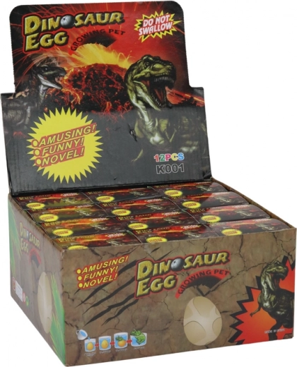 Εκπαιδευτική εμπειρία