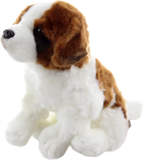 Ασφαλές από τη γέννηση και φιλικό προς το περιβάλλον