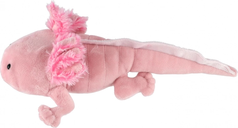 Χαριτωμένος σχεδιασμός που τα παιδιά λατρεύουν