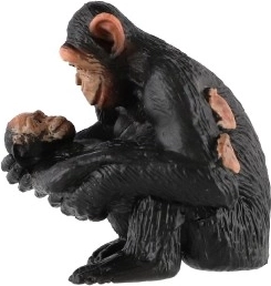 Εκπαιδευτική αξία για παιδιά και σχολεία