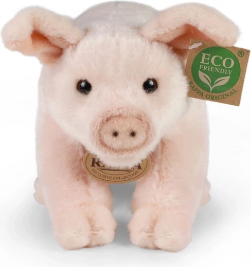 Οικολογική ECO‑FRIENDLY γέμιση