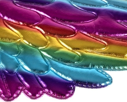 Μαγικά φτερά