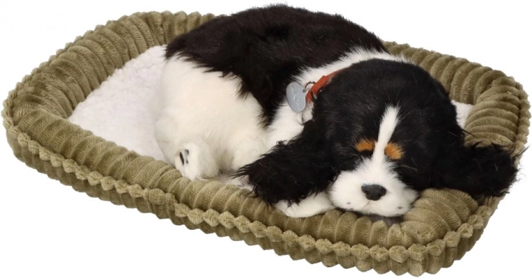 Πιστή εμφάνιση και άνεση