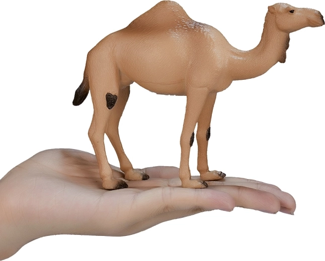 Συλλεκτική μοναδικότητα