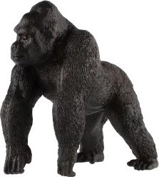 Μάθηση μέσω παιχνιδιού: η φύση στο χέρι