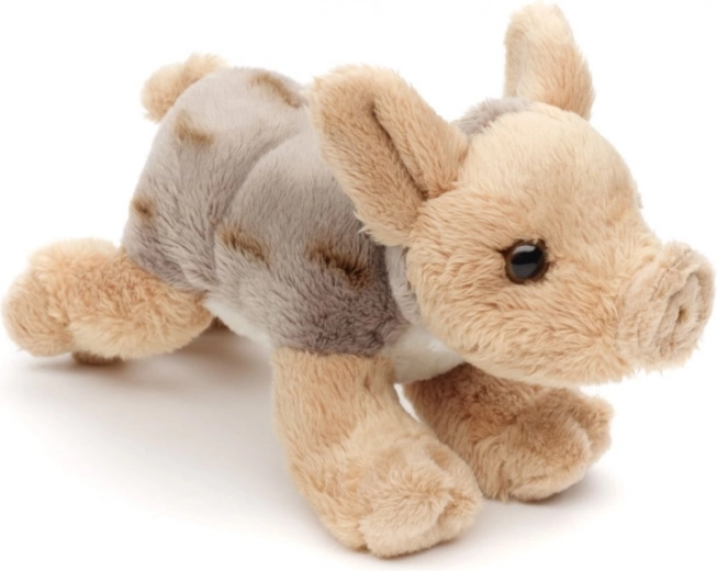 Ελαφρύ και ιδανικό για ταξίδια