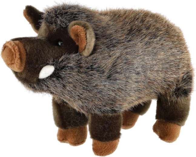 Ασφαλές από τη γέννηση