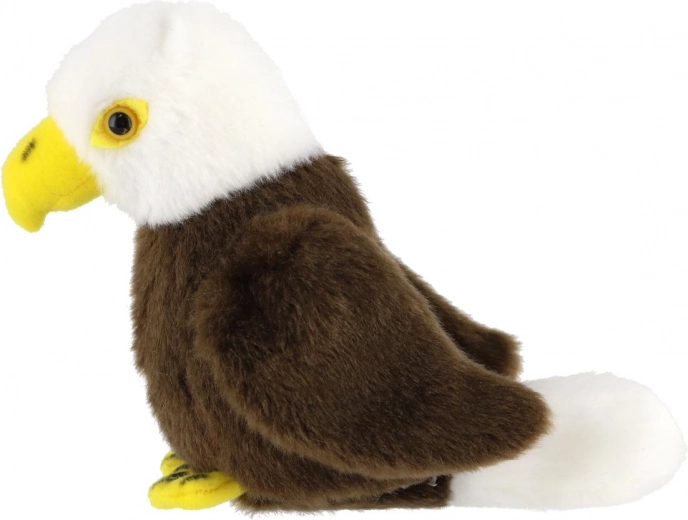 Ρεαλιστικές λεπτομέρειες θαλασσαετού