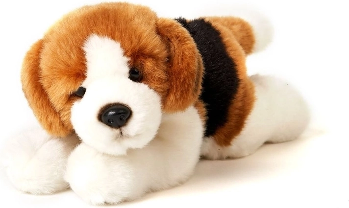 ECO FRIENDLY κατασκευή