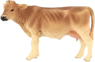 Εκπαιδευτικός σκοπός