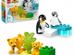 LEGO® DUPLO® 10442 Οικογένειες άγριων ζώων: Πιγκουίνοι και λιοντάρια